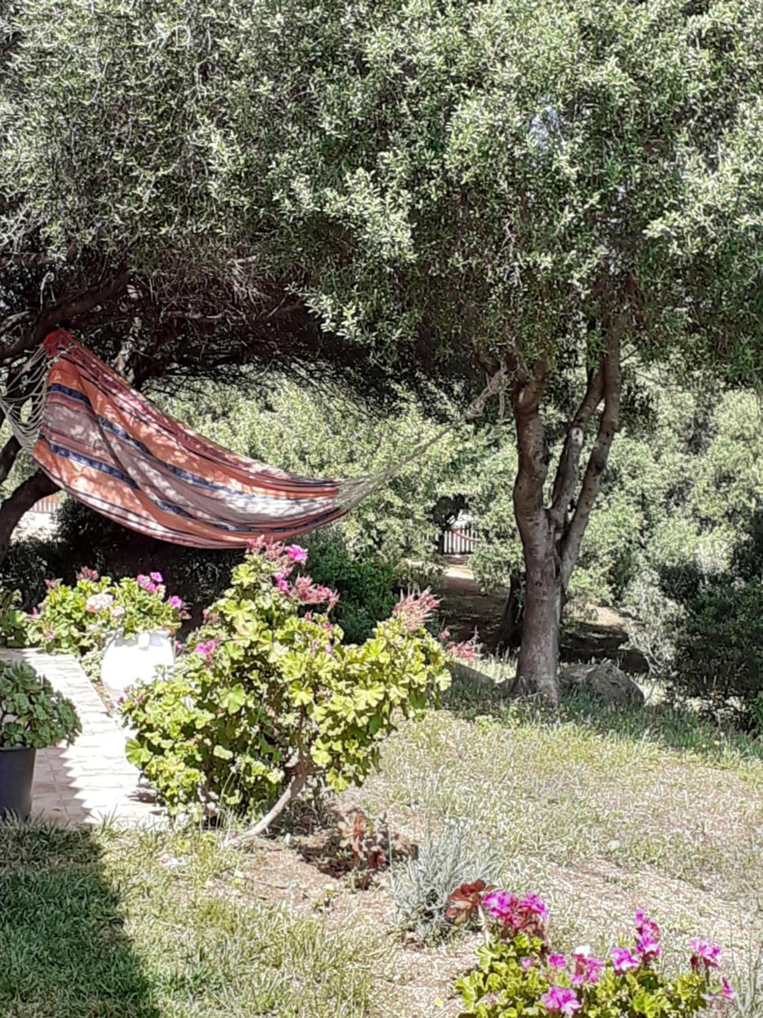 Agriturismo Gli Olivastri Appartamento Corbezzolo Con Piscina E Vista Mare,Climatizzatore,Wifi Aglientu Εξωτερικό φωτογραφία